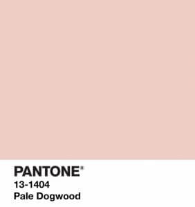 Androgynous and witty and also ironic, millennial pink is the most loved colour for a complete generation, which refused to go away for another year.